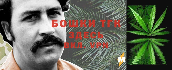 прущая мука Арсеньев