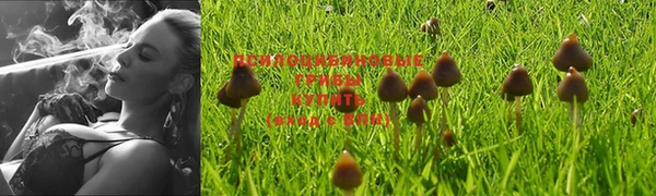 кокаин перу Аркадак