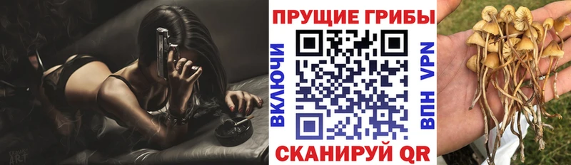 Купить  Ленск  Галлюциногенные грибы мицелий 